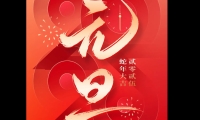 旧岁已展千重锦，新年再进百尺竿